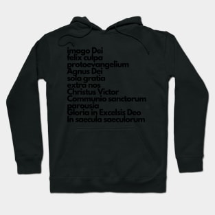 latin summary of the faith Hoodie